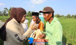 Legislator Gerindra, Hj. Rahmawati Program Prabowo Bikin Petani Makin Optimistis